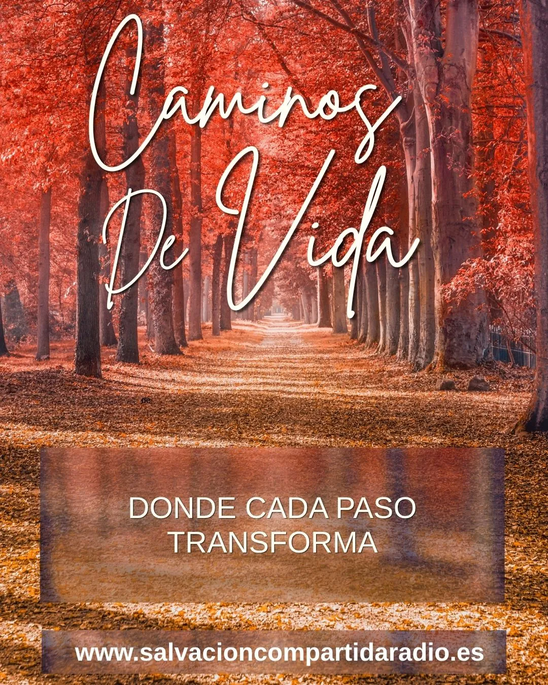CAMINOS DE VIDA